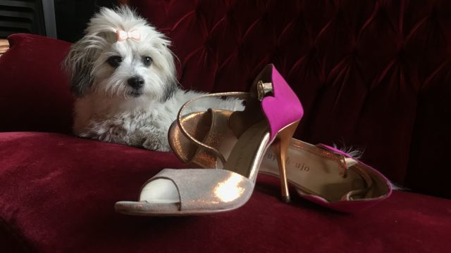 IMG 1641 640x360 1533246777q80 zc IMG 1641 640x360 1533246777q80 zc